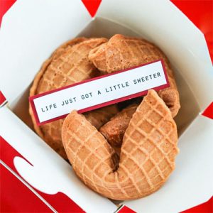 fortune cookie