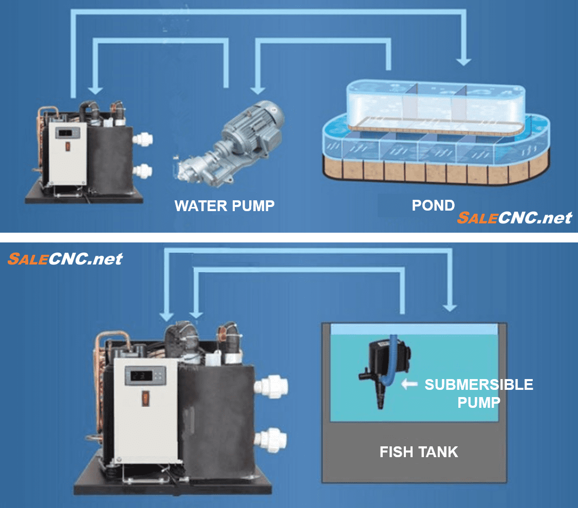 chiller fish tank