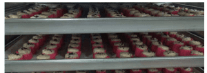 Semi Automatic Shumai Machine 2