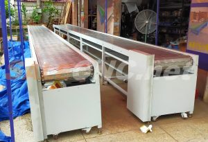 Stainless Steel Conveyor 1