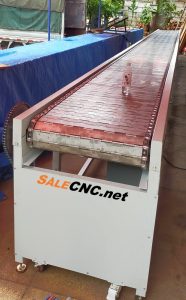 Stainless Steel Conveyor 3