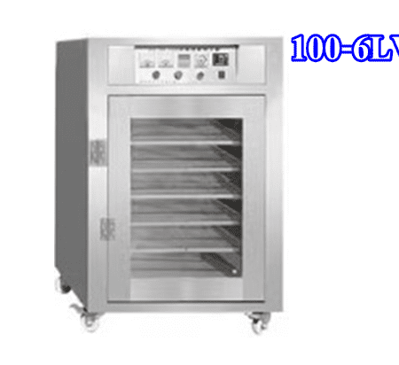 100 6LV 1