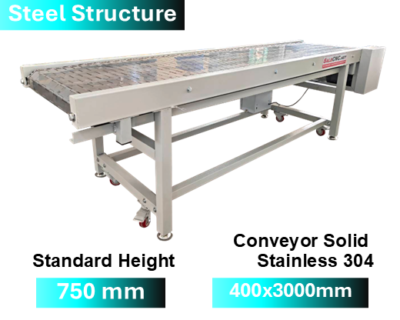 Steel Structure  Stainless 304 Conveyor Solid 400x3000 mm